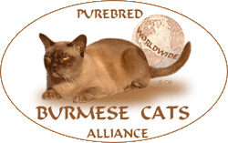 Burmese Cats Alliance